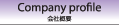 Company profile